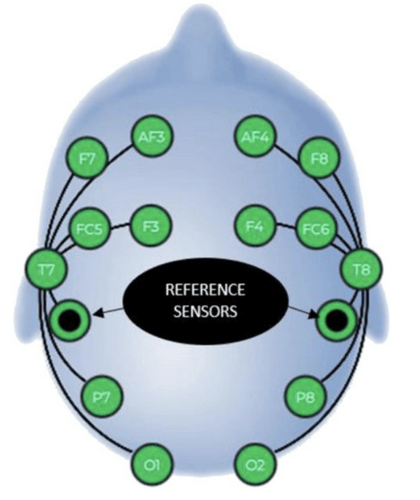 The effect of auricular vagus nerve stimulation on electroencephalography and electromyography measurements in healthy persons.